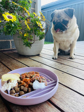 Load image into Gallery viewer, Silicone Slow Feeder