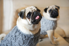 Load image into Gallery viewer, The Bobble Knit - Coal