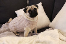 Load image into Gallery viewer, The Chunky Knit