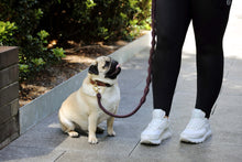 Load image into Gallery viewer, Dog Lead - The Billie - Chocolate Brown