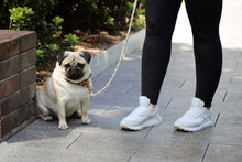Load image into Gallery viewer, Dog Lead - The Cardi - Cream