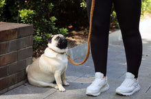 Load image into Gallery viewer, Dog Lead - The Coco - Turmeric
