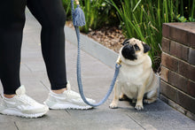 Load image into Gallery viewer, Dog Lead - The Coco - Sky Blue