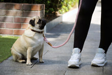 Load image into Gallery viewer, Dog Lead - The Tilly - Blush