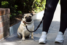 Load image into Gallery viewer, Dog Lead - The Billie - Jet Black