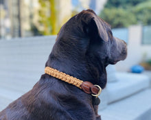 Load image into Gallery viewer, 1557 × 1489px