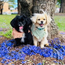 Load image into Gallery viewer, Tulum Macramé Bandana - Blush