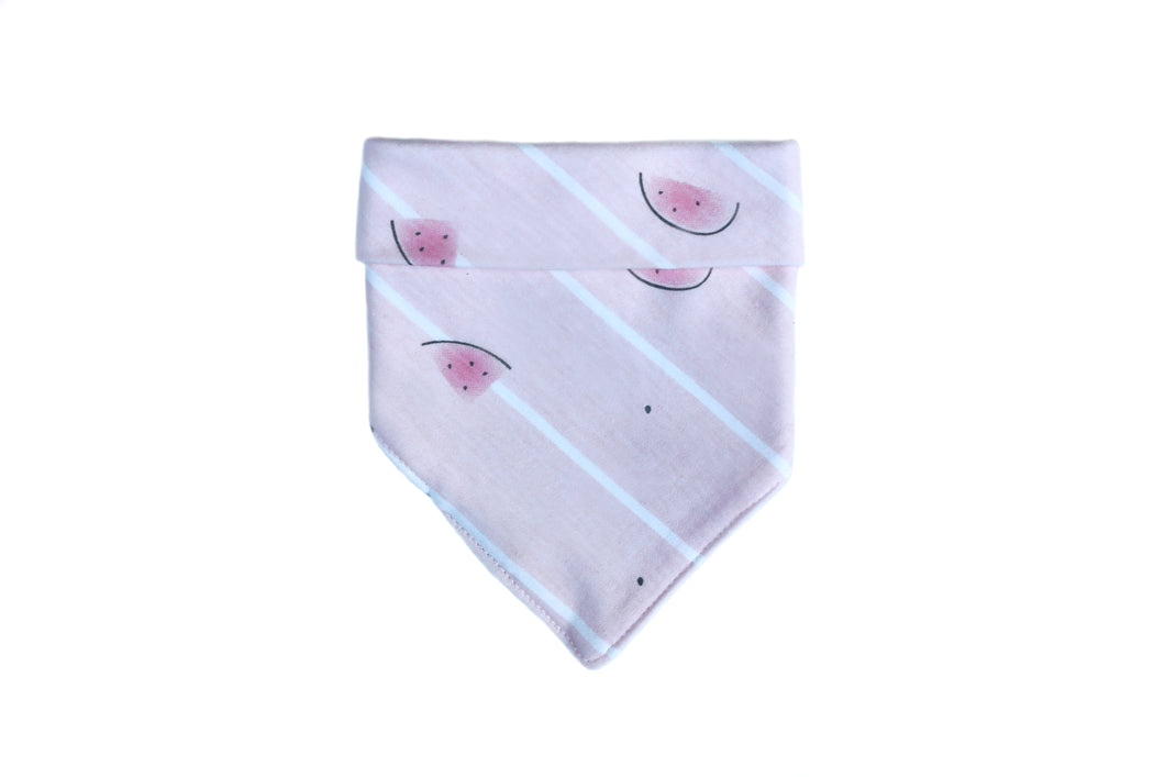 Bandana - Watermelon Sugar
