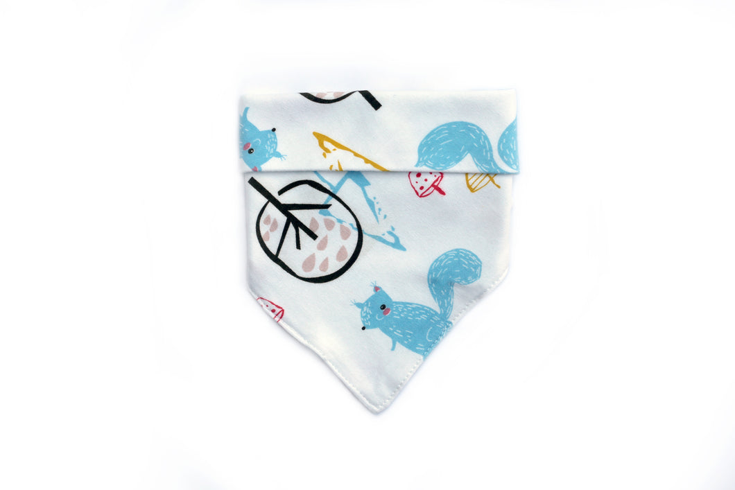 Bandana - Silly Squirrel
