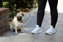 Load image into Gallery viewer, Dog Lead - The Cardi - Cream
