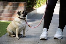 Load image into Gallery viewer, Dog Lead - The Tilly - Blush

