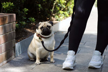 Load image into Gallery viewer, Dog Lead - The Billie - Jet Black
