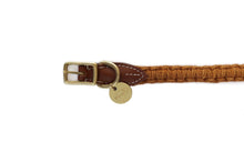 Load image into Gallery viewer, Dog Collar - The Coco - Turmeric
