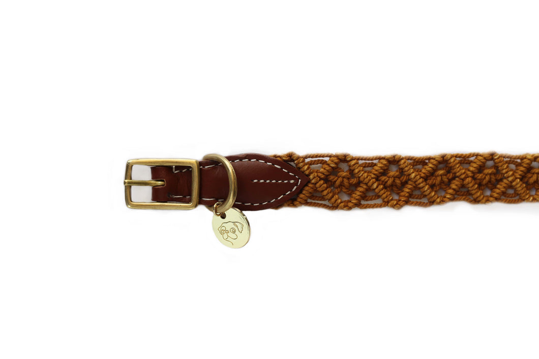 Dog Collar - The Cardi - Pumpkin