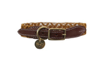 Load image into Gallery viewer, Dog Collar - The Cardi - Pumpkin
